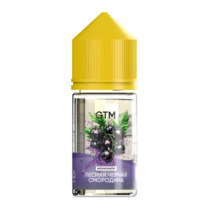Аромамикс GTM Лесная Черная Смородина